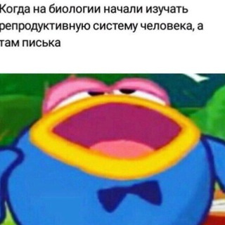 ЯРИК И МЕМЫ