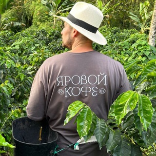 ЯРОВОЙ КОФЕ лучшее, делаем нормой!