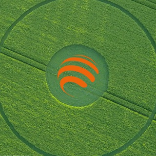 Круги на полях | Лаборатория ЯРВЕТ