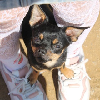 N- 👀 - 🍓 -Nayshka