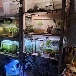 The abode of arthropods