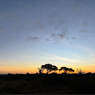 Анна в заливе