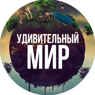 Удивительный мир