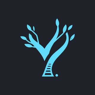 React Frontend | YeaHub