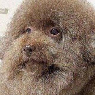 yeban3000 | База читеров