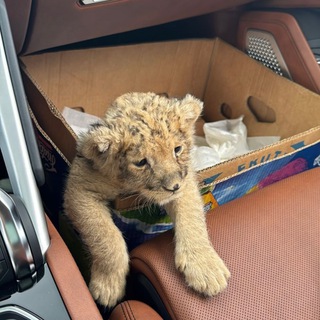 КАПКАН | MARKETPLACE