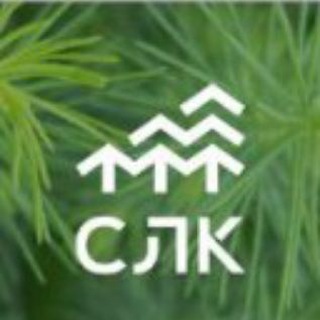 СЛК. Сибирская Лесовосстановительная компания.