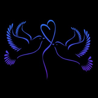 2004-2005-2006-yillar