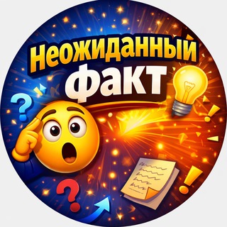 Неожиданный факт 🤯