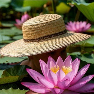 Йога в шляпе🎩🧘‍♀️