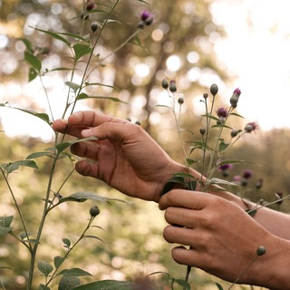 Блог о Жизни🌿