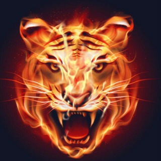 🇸🇱 🇸🇱 Ё О Ш Л А Р 2 0 2 0 🇸🇱 🇸🇱