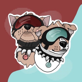 Опасные терьеры