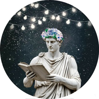 Книгой в лицо