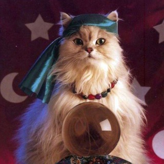 Твой день🔭✨(Астрология,гороскоп,таро)