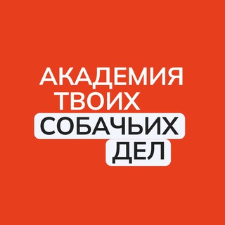 Академия твоих собачьих дел