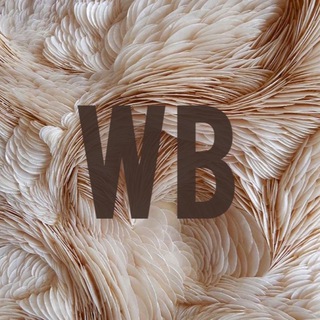 Находки с Wildberries | WB 💕