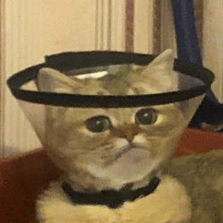 мемасы от вовасы, ивасы и святичека и иногда от алексансы и вновь от демасы