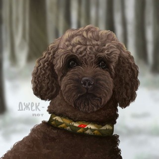 щабака и не только. 🐏