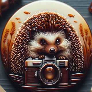 🦔 Ёж-охота 🦔