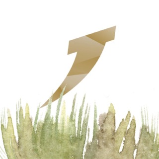 Книги на Поляне