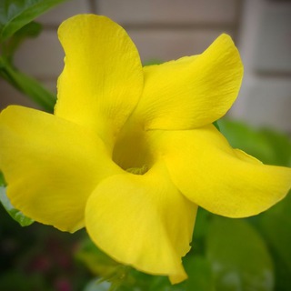 Усадьба "Две сотки асфальта"👻