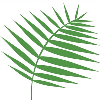 Южный Паломник🌿