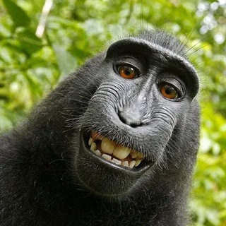 Юмор тут!😎