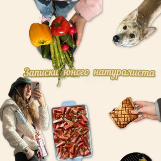 Записки юного натуралиста