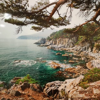 Правовое толковище