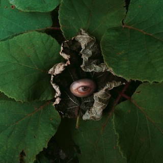 Юрта в поле