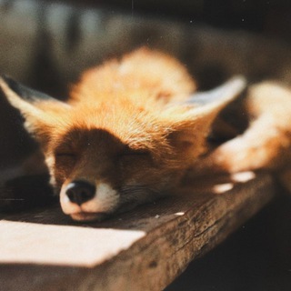 с южного полюса