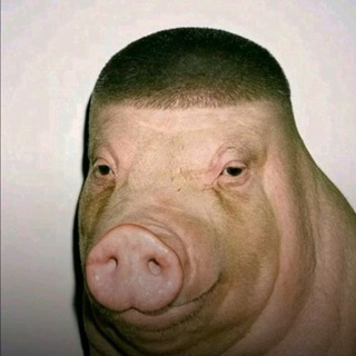 привет прелость