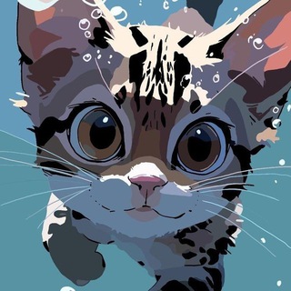 Забавный котик