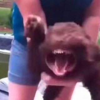 🏴‍☠️🥀забавные