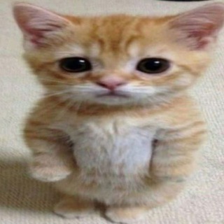 забыл название