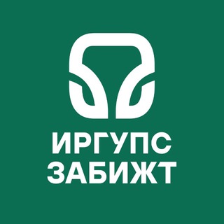 ЗабИЖТ