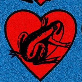 жабы и лягушки на месте