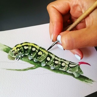 Зарисовка 🎨