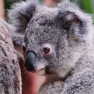 на сегодня заебался достаточно