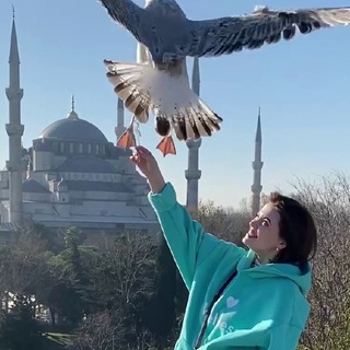 ЗА ЭНЕРГИЕЙ К ПАНФЁРОВОЙ🔥