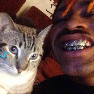 zafiksit печатает...