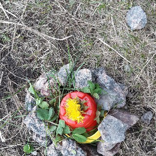 Загадки для ребяток