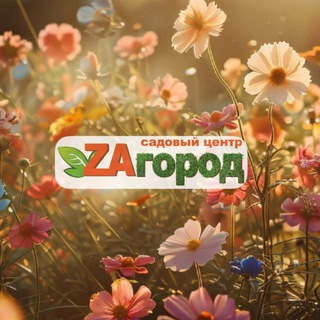 Zaгород 🌿 Уссурийск