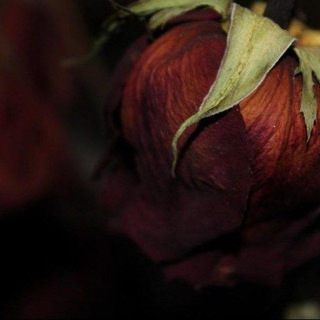 аз'зальзаля