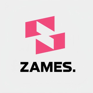 ZAMES . Строительство загородных домов