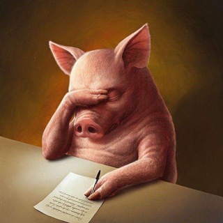 заметки фридриха