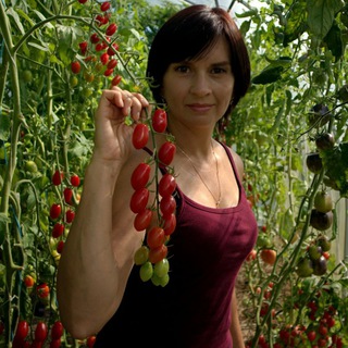 Заметки садовода