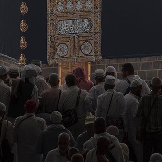 заметки финика.