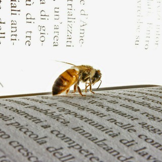 ЗАМЕТКИ ПАСТОРА